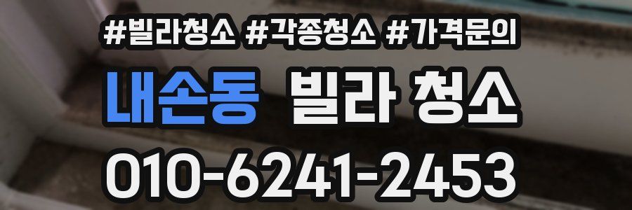 내손동 빌라 청소