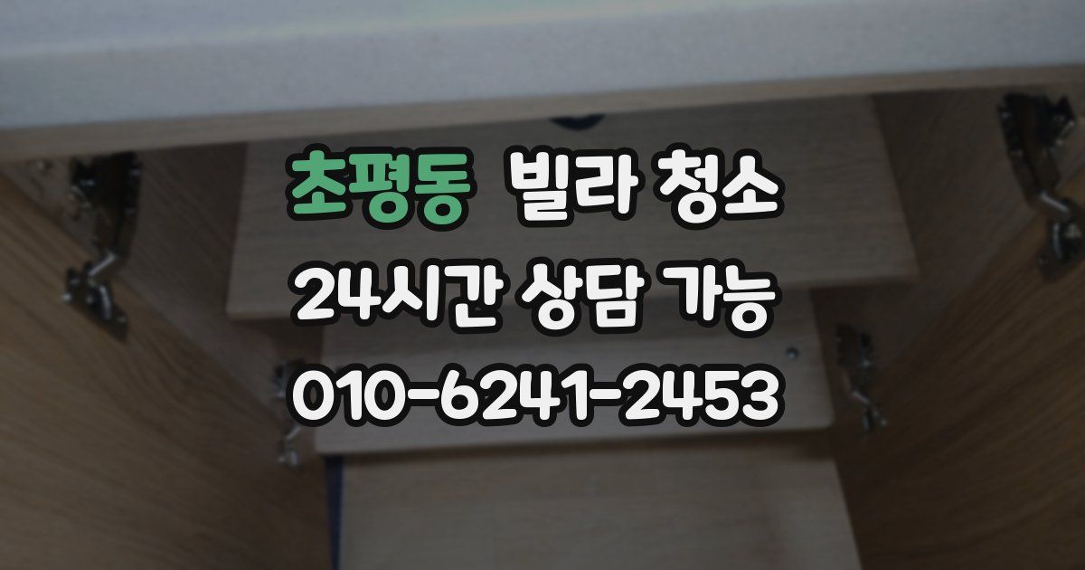 초평동 빌라 청소