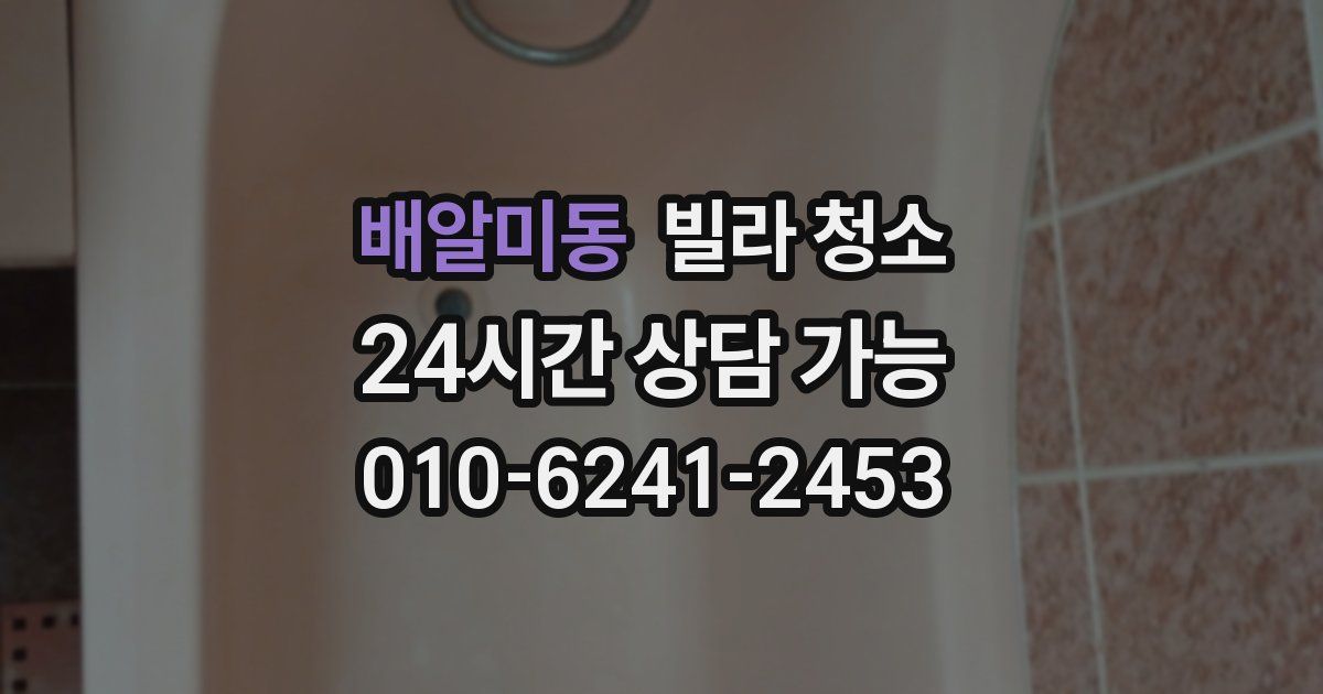 배알미동 빌라 청소