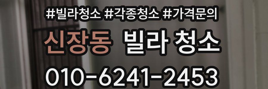 신장동 빌라 청소