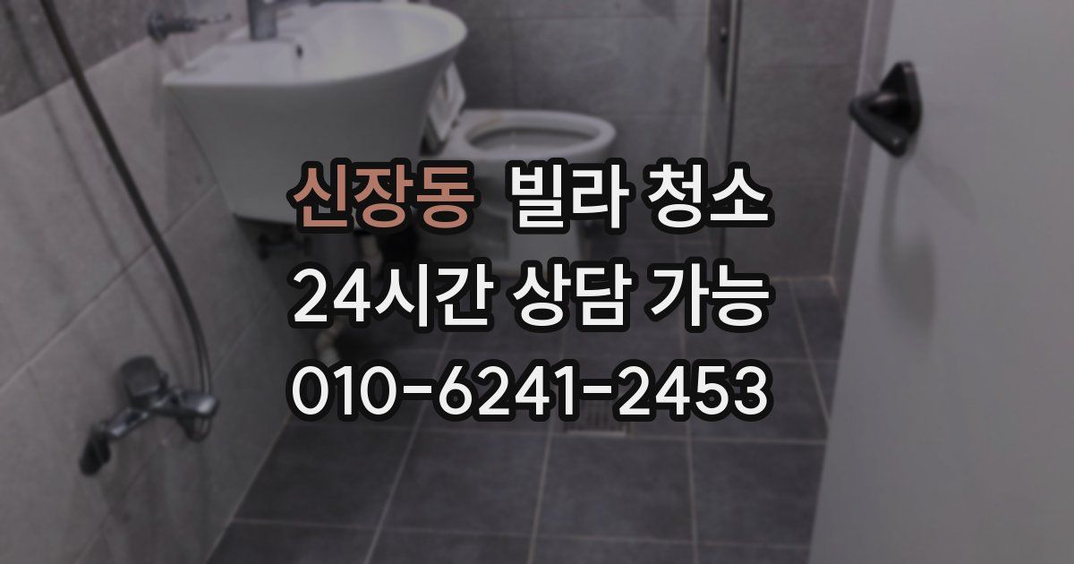 신장동 빌라 청소