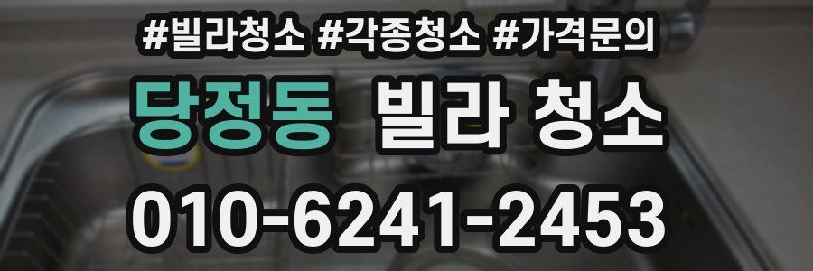 당정동 빌라 청소