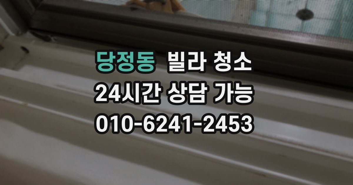 당정동 빌라 청소