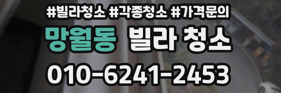 망월동 빌라 청소