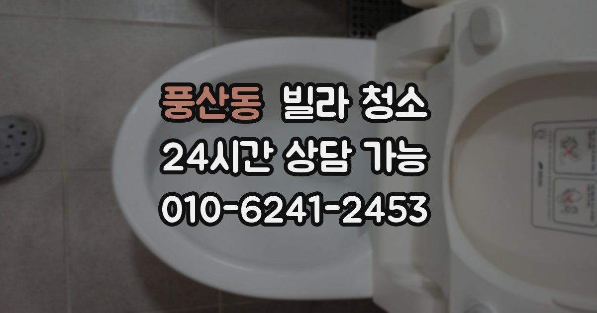 풍산동 빌라 청소