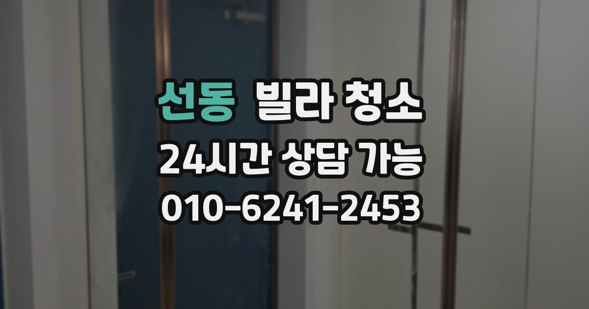 선동 빌라 청소