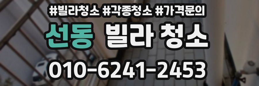 선동 빌라 청소