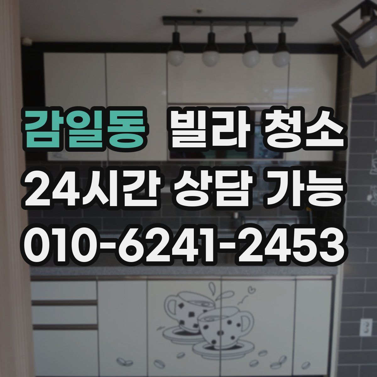 감일동 빌라 청소