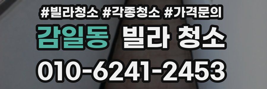 감일동 빌라 청소