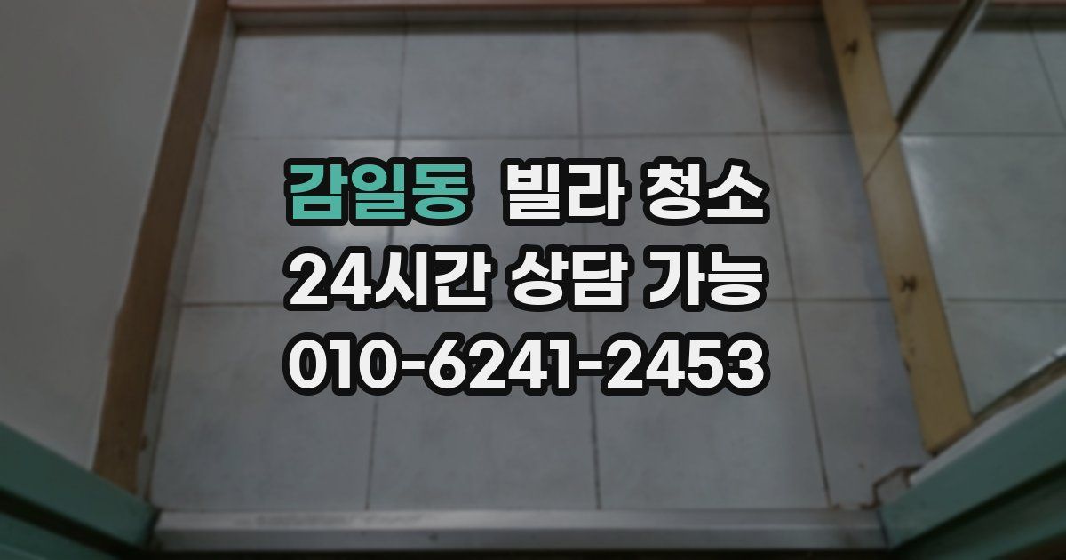 감일동 빌라 청소