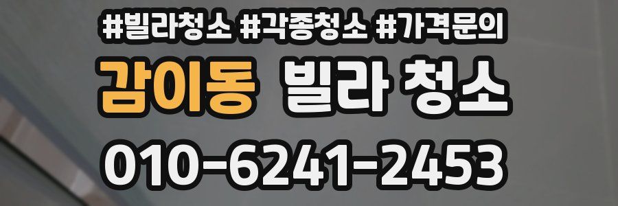감이동 빌라 청소