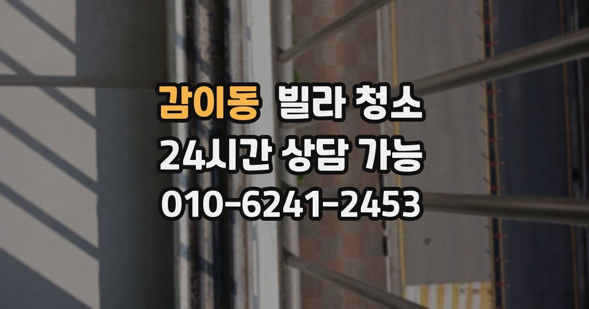 감이동 빌라 청소