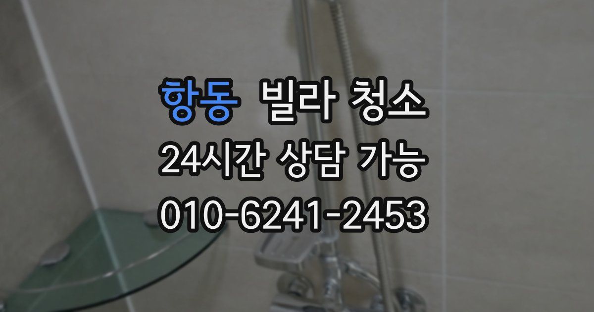 항동 빌라 청소