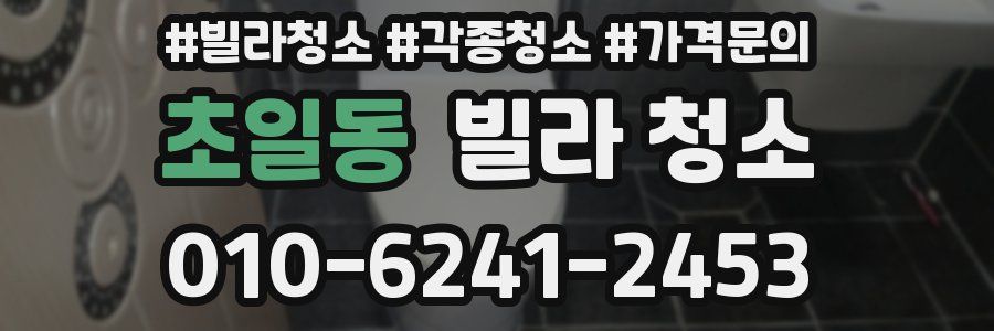 초일동 빌라 청소