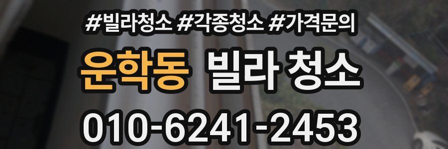 운학동 빌라 청소