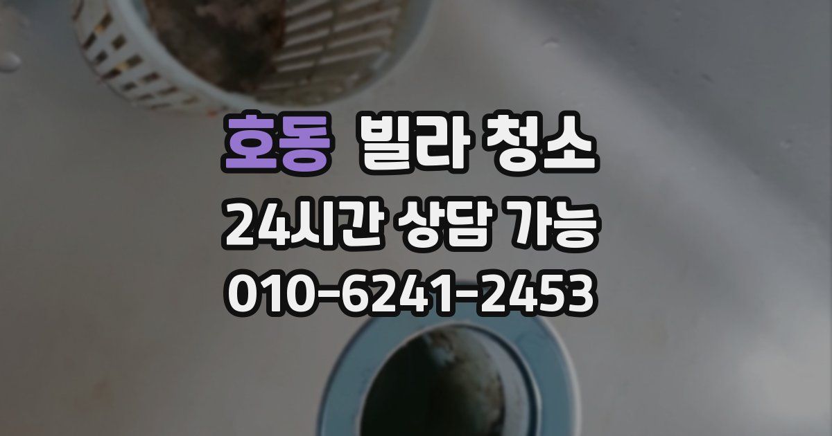호동 빌라 청소