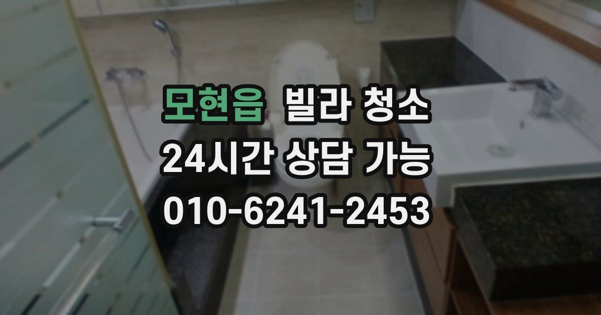 모현읍 빌라 청소