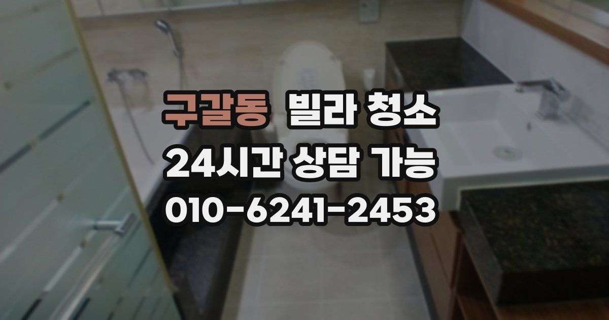 구갈동 빌라 청소