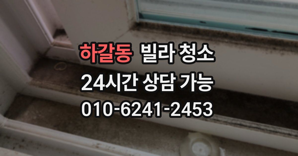 하갈동 빌라 청소