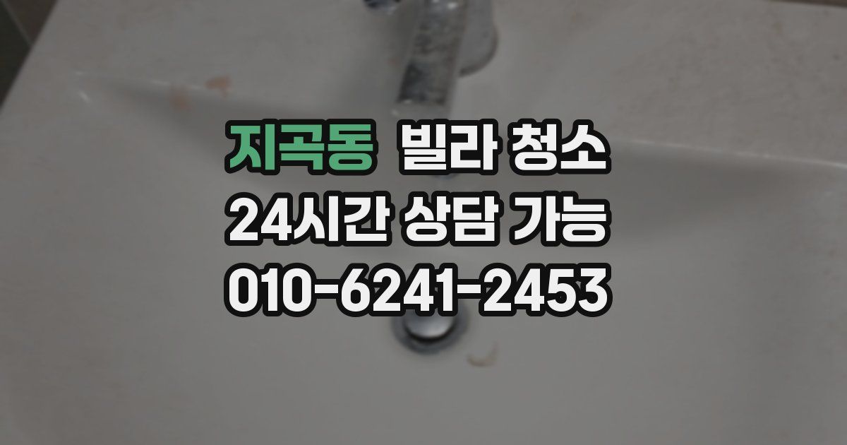 지곡동 빌라 청소