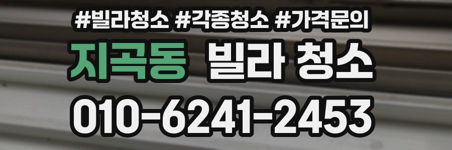 지곡동 빌라 청소