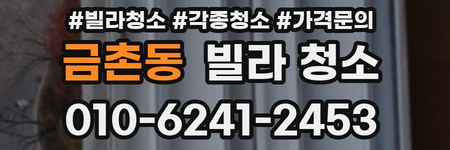 금촌동 빌라 청소