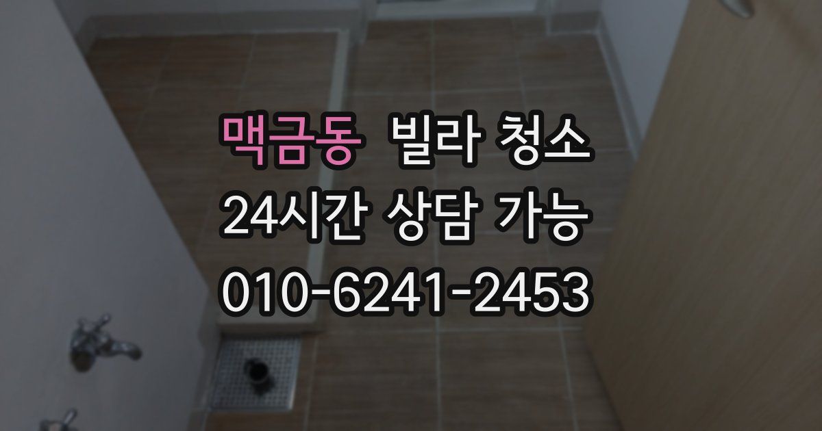 맥금동 빌라 청소