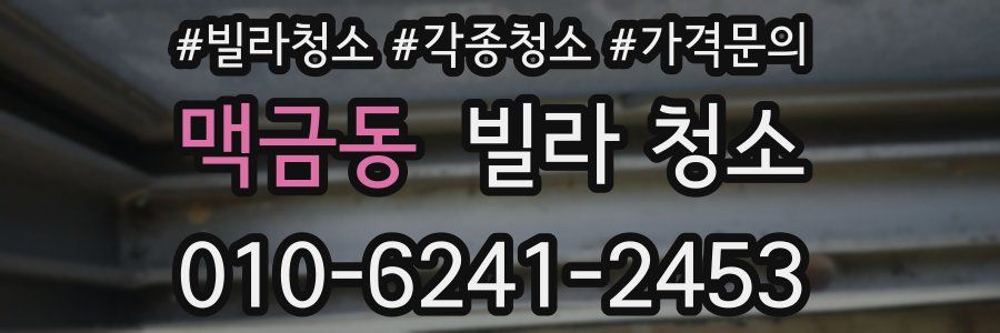 맥금동 빌라 청소