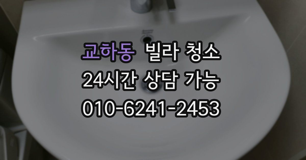 교하동 빌라 청소