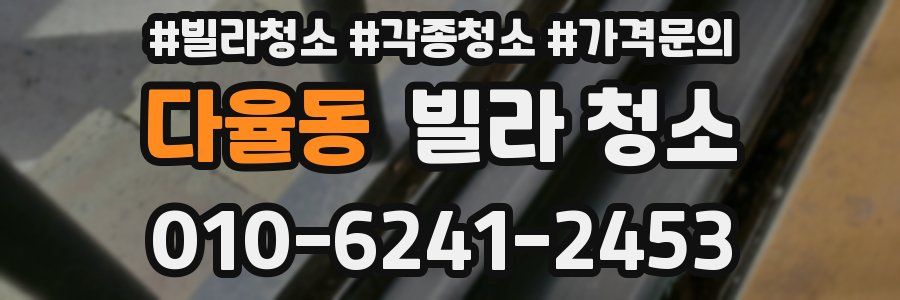 다율동 빌라 청소