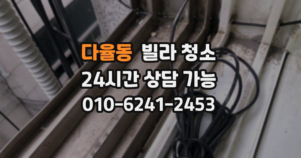 다율동 빌라 청소