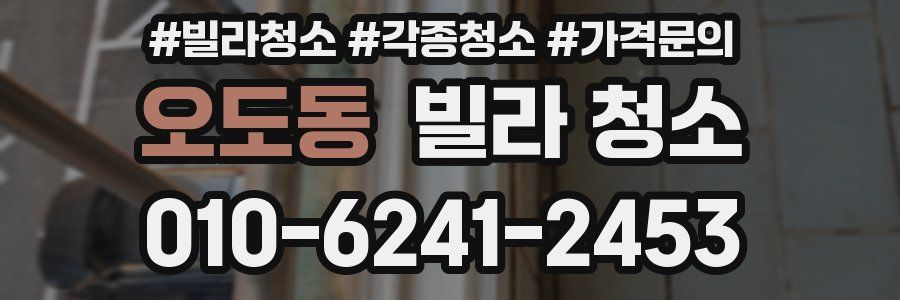 오도동 빌라 청소