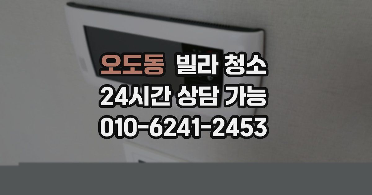 오도동 빌라 청소