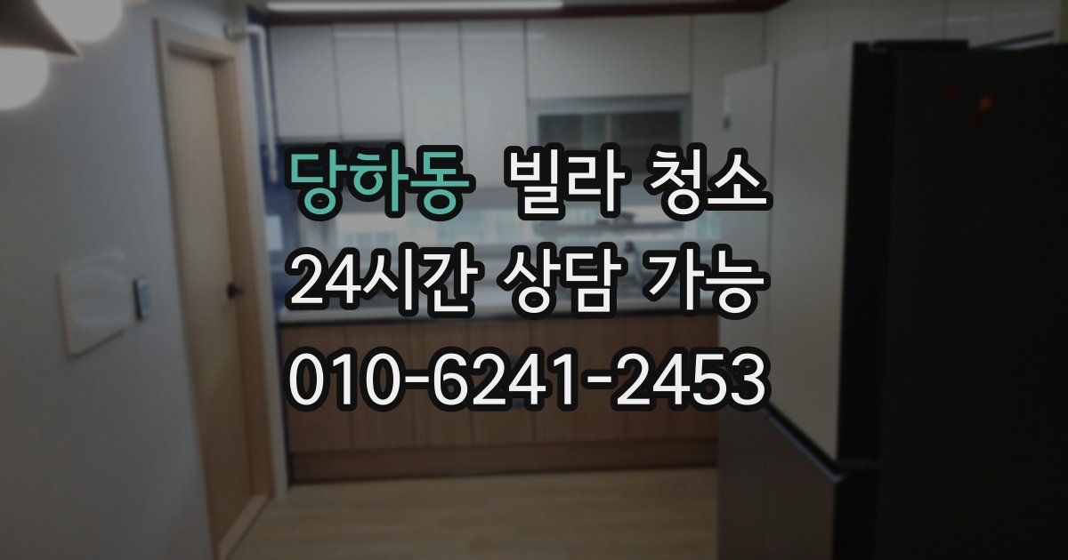 당하동 빌라 청소