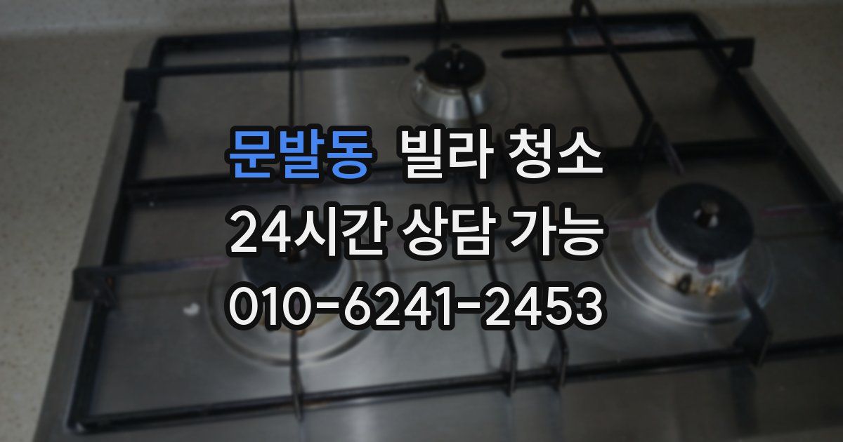 문발동 빌라 청소