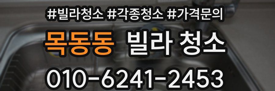 목동동 빌라 청소