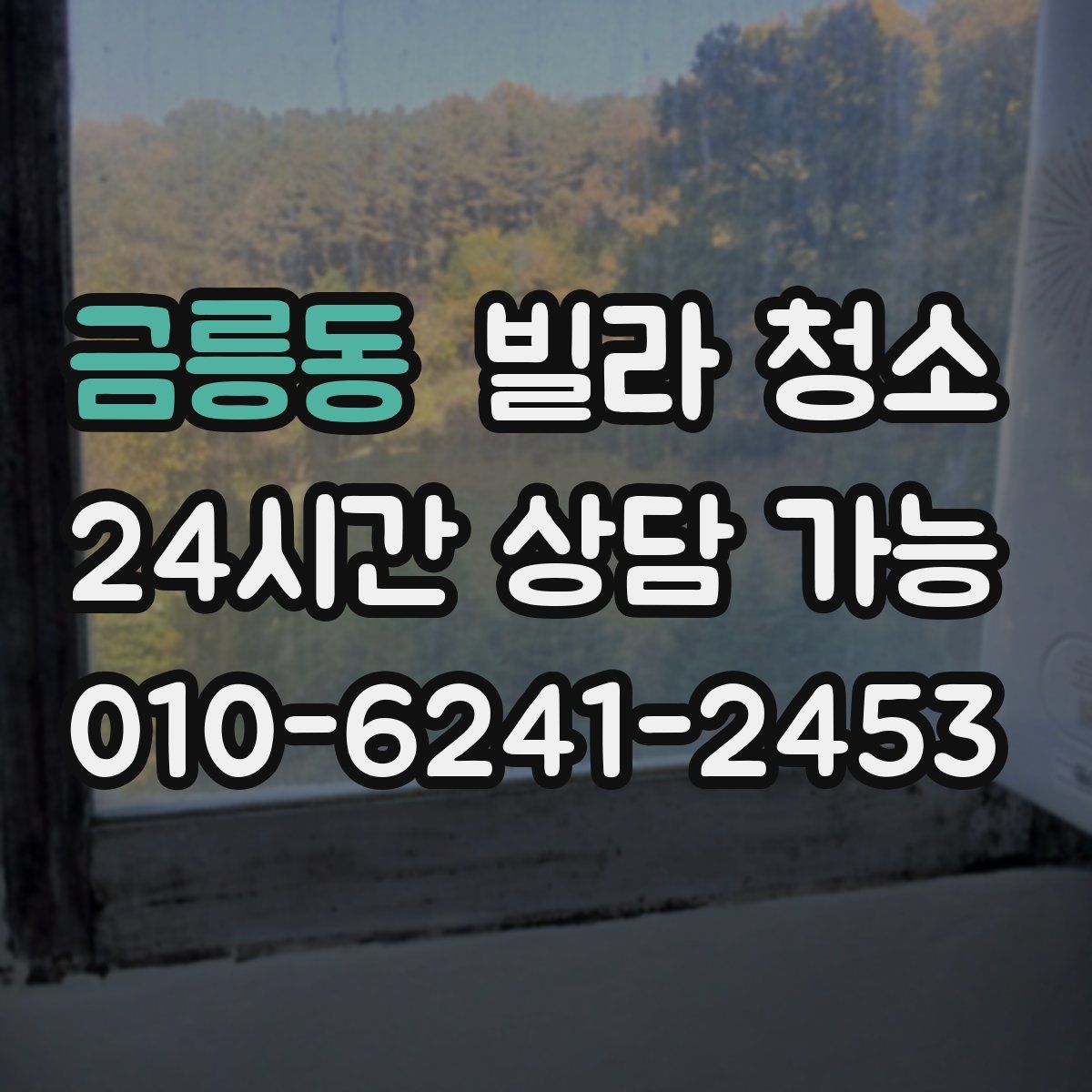 금릉동 빌라 청소