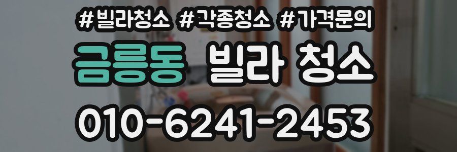 금릉동 빌라 청소