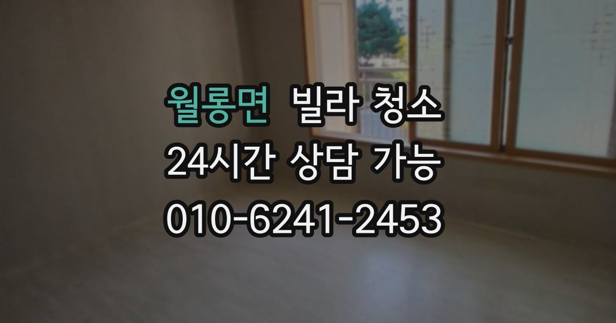 월롱면 빌라 청소