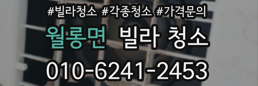 월롱면 빌라 청소