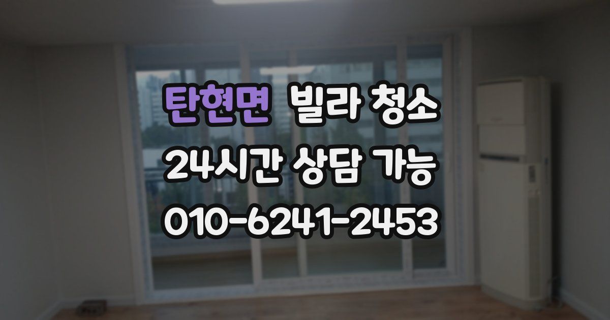 탄현면 빌라 청소