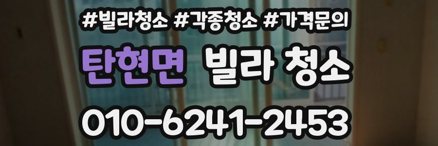 탄현면 빌라 청소