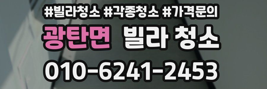 광탄면 빌라 청소