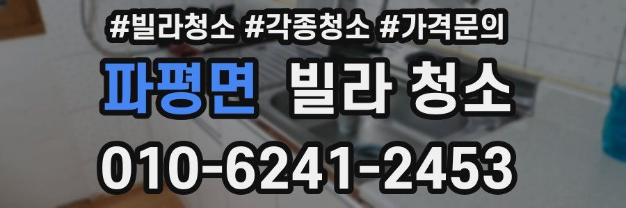 파평면 빌라 청소