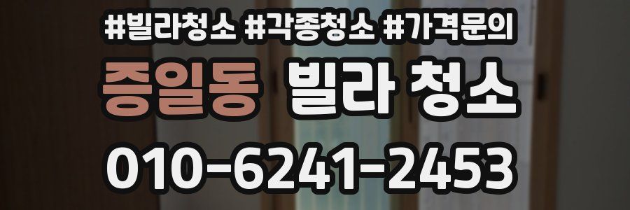 증일동 빌라 청소