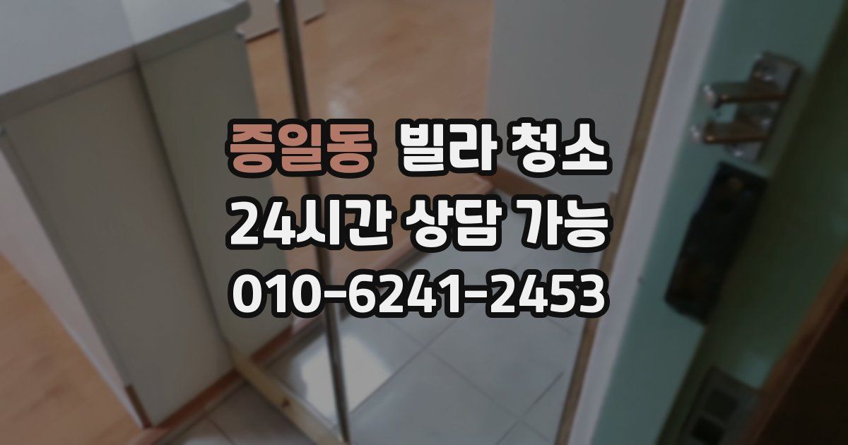 증일동 빌라 청소