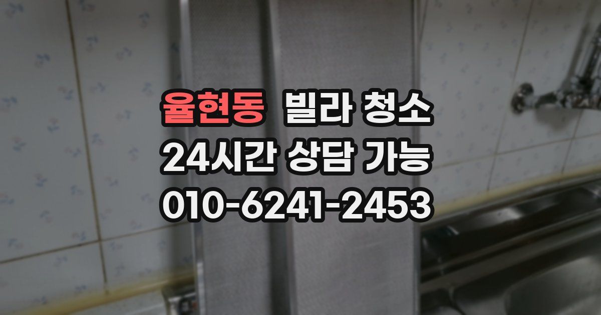 율현동 빌라 청소