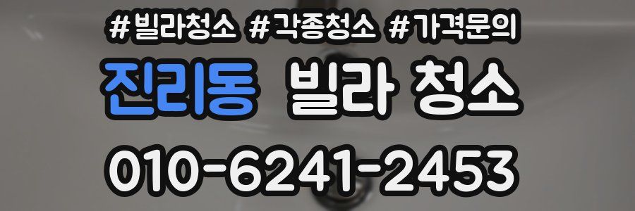 진리동 빌라 청소