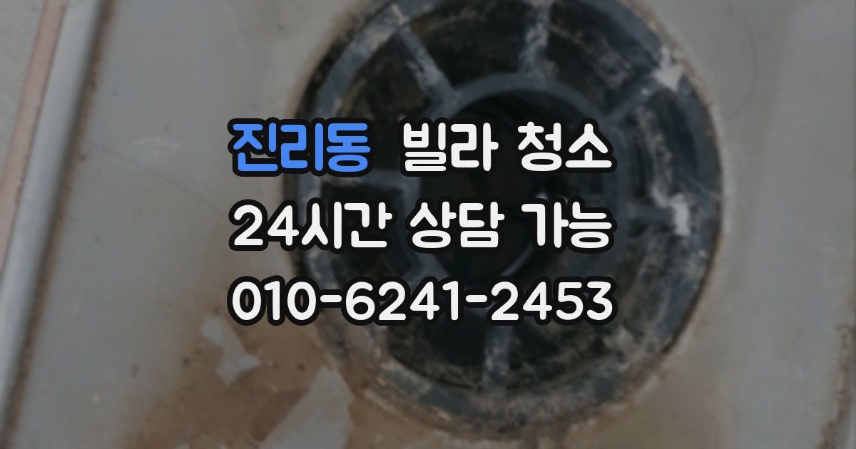 진리동 빌라 청소