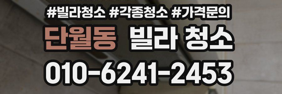 단월동 빌라 청소
